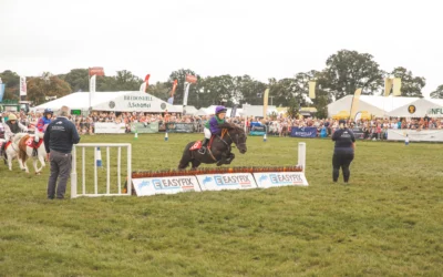 New Competitions, Thrilling Performances and Supreme Equestrian Excellence!
