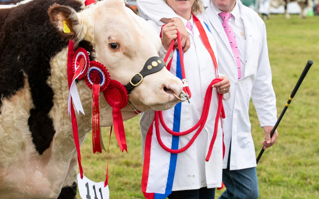 What’s On at Moreton Show 2025