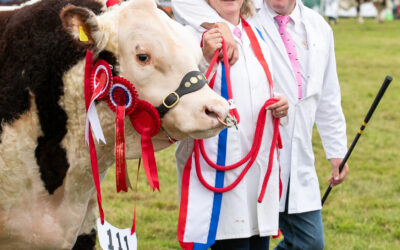 What’s On at Moreton Show 2025