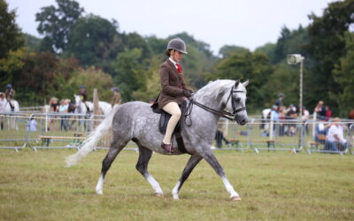 Moreton Show 2025 has 30 opportunities to win a golden ticket to the Horse of the Year Show!
