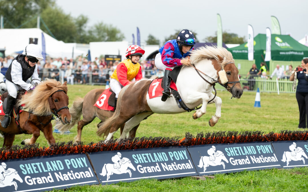 What’s on at Moreton Show 2026