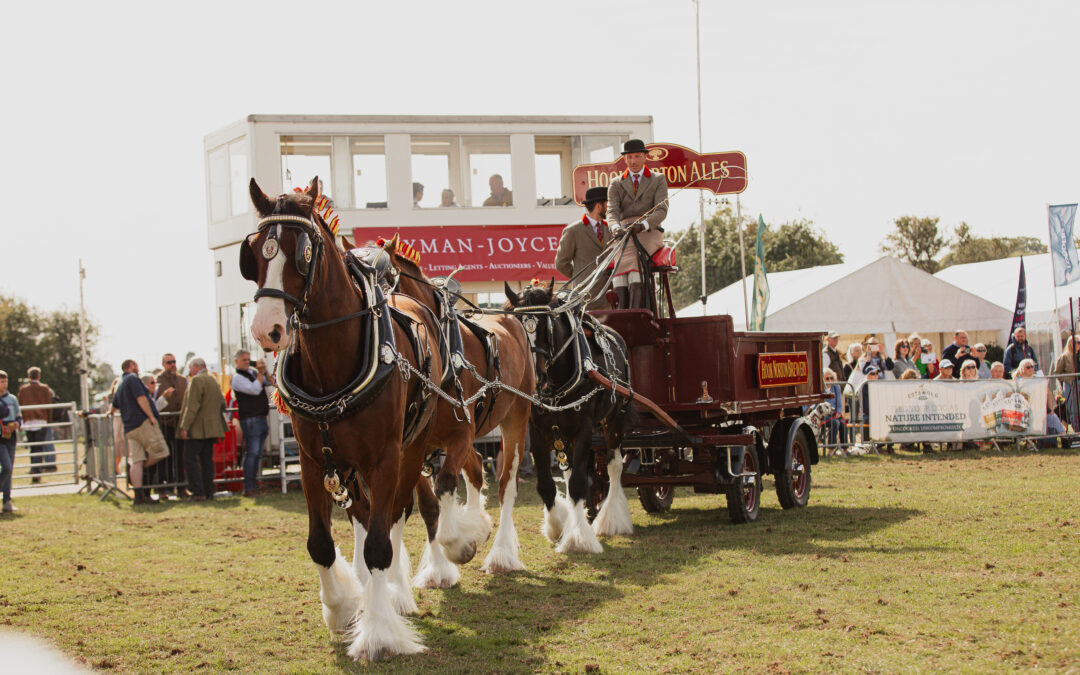 Moreton Show 2026. One Day, Every Reason to Go.