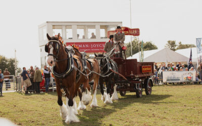 Moreton Show 2026. One Day, Every Reason to Go.