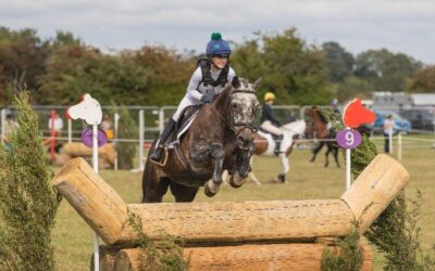 What to expect at Moreton Show 2026
